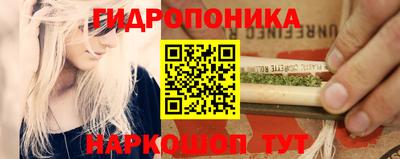 винт Ачхой-Мартан