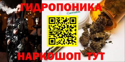 винт Ачхой-Мартан