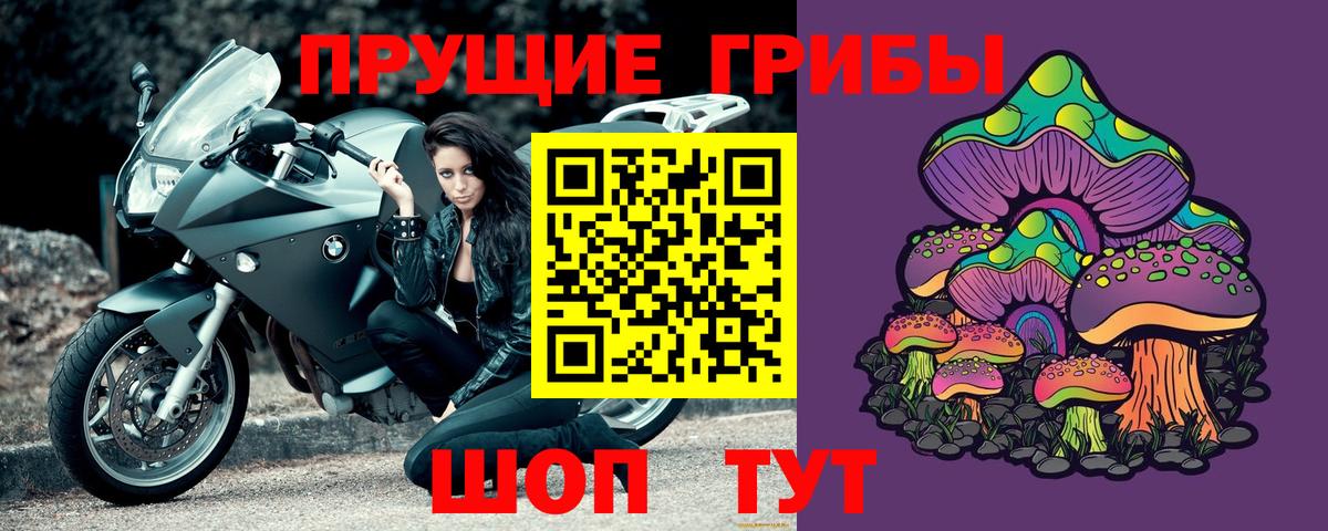 Псилоцибиновые грибы Psilocybe Котельники