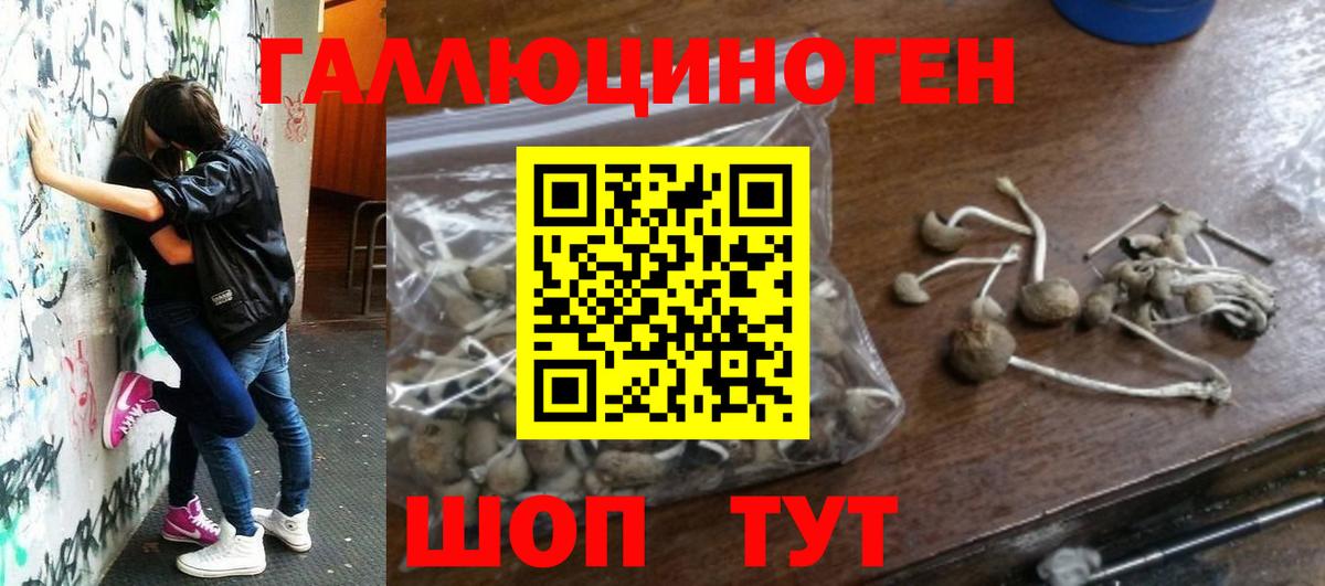 Псилоцибиновые грибы MAGIC MUSHROOMS  Псилоцибиновые грибы Cubensis  Вход с VPN  Котельники 